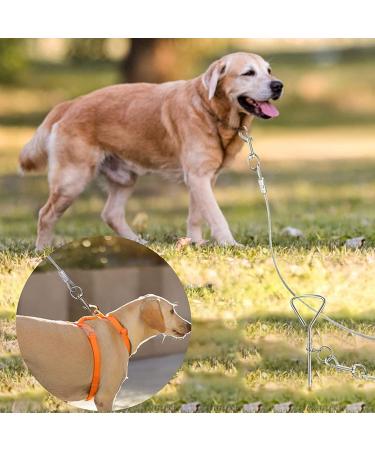 1Above_20ft(6m) heavy duty Dog stake and tie out cable with 16 Inch spiral ground stake Puppy pet Outdoor Tie Out Lead Leas - Buy Online on GoSupps.com