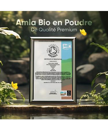 Amla Bio Powder Vegan & Pure - Indian Gooseberry Amla Powder 200g - Organic Hair Mask Skin Care or Drink Wellness Recipes - Source of Vitamin C & Minerals Rich in Fiber - Premium Quality - Buy Online on GoSupps.com