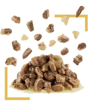 Royal Canin Sensory Taste In Jelly Wet Cat Food 12x85g - Buy Online on GoSupps.com