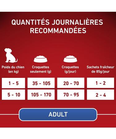 PURINA ONE Mini/Small 10kg Grain Free Chicken Dry Food | Small Breed Adult Dogs | 1.2kg Bag - Buy Online on GoSupps.com