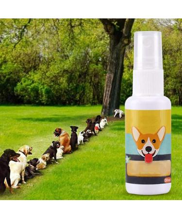 Ardorman Dog Training Spray | Pet Toilet Training Aid | Puppy & Cat Indoor Training Solution - Buy Online on GoSupps.com
