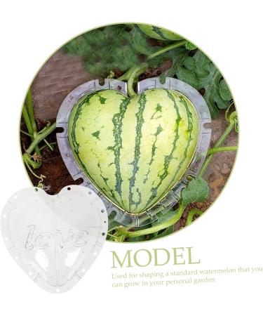 OSALADI Plant Plastic Fruit Clear Fruit Yard Fruit Fruit Forming Heart-Shaped Pumpkin - Buy Online on GoSupps.com