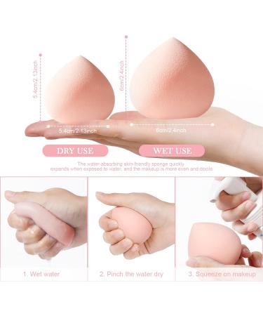 AUAUY Makeup Sponges Blender Set 4 Pcs Professional Beauty Sponge Foundation Blending Blender with 1 Sponge Holder Pink Makeup Sponges for Cream Liquid and Powder 4pcs Peach Type - Buy Online on GoSupps.com