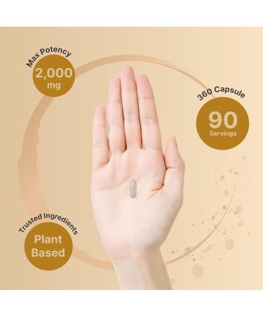 NatureBell Psyllium Husk Capsules 2,000mg Per Serving 360 Count with Inulin & Chia Seed Soluble Fiber for Digestion Plant Based Herbal Fiber Supplement Non-GMO Gluten Free - Buy Online on GoSupps.com