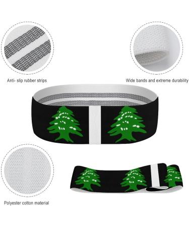 Shop Lebanese Flag Logo Yoga Workout Bands | Comfort Booty Resistance Straps & Physical Therapy Aids - Buy Online on GoSupps.com