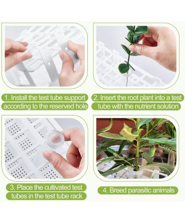 50 Pcs Floral Water Tubes with Rack Holder - Flower Vials for Milkweed Cuttings and Arrangements - Buy Online on GoSupps.com