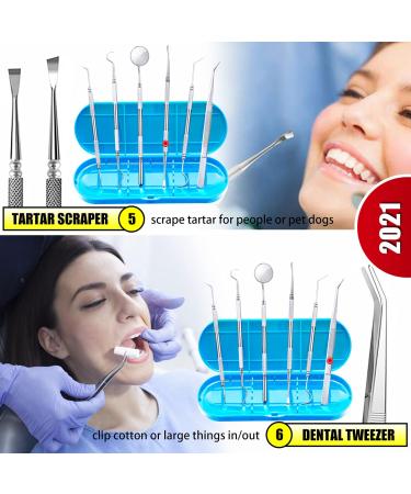 Professional Dental Hygiene Kit - Stainless Steel Teeth Cleaning Tools for Plaque and Tartar Removal, Oral Care Set with Scraper, Scaler, Pick - Includes Case - Buy Online on GoSupps.com