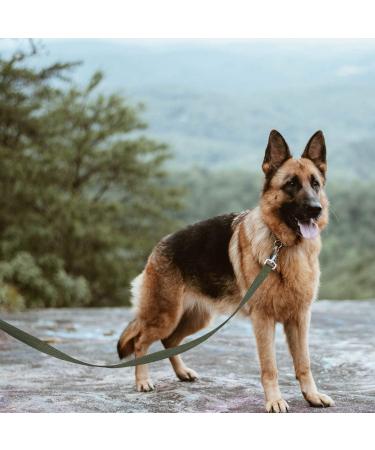 10m Army Green Tow Leash for Dogs | Durable Nylon Training Leash with Padded Handle | Perfect for Large & Small Dogs - International Shipping - Buy Online on GoSupps.com