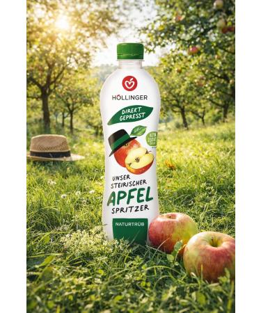 H LLINGER Spritzer de Pomme Steirischer Naturtr b Boisson P tillante V g talien 500ml 500 ml (Lot de 1) - Buy Online on GoSupps.com
