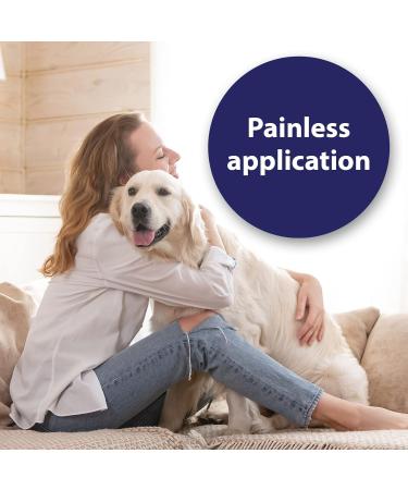 Canosept Wound Spray for Dogs 75ml - Dog Wound Spray for cleaning wounds - Dog first aid kit - Care of wound areas - Wound care - Reduces scab formation - Easy application (Pack of 2) - Buy Online on GoSupps.com