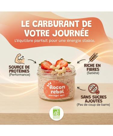FLOCON REBEL Overnight Oats | Fraises Noix de Cajou 5 Petits D jeuners Sains et Rapides | Porridge Froid | Flocons d Avoine | Riche en Fibres Source de Prot ines Bio Sans Sucre Ajout - 5X45g Fraise Noix de Cajou 45 g (Lot de 5) - Buy Online on GoSupps.com