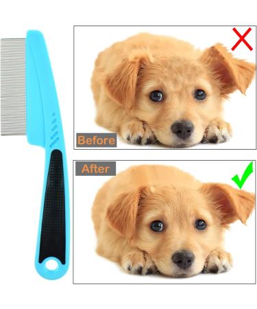 Flea Comb for Dog Cat Flea Lice Tear Stain Remover Pet Combs Fine Tooth Grooming Removal Tool Blue - Buy Online on GoSupps.com