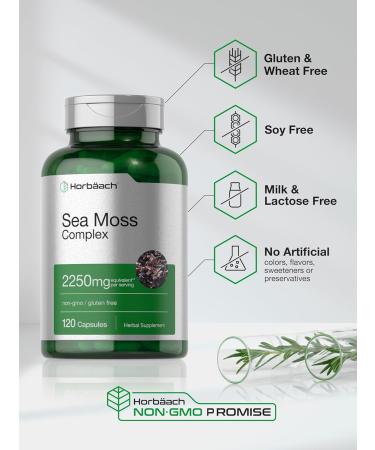 Horb ach Sea Moss Complex Capsules | 2250mg | 120 Count | Complex Formula with Bladderwrack & Burdock Root | Non-GMO & Gluten Free Supplement - Buy Online on GoSupps.com