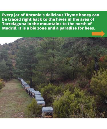 Buy Antonios Raw Certified Thyme Honey | Pure Wilderness Unpasteurised | Single Origin 500g - The Raw Honey Shop - Buy Online on GoSupps.com