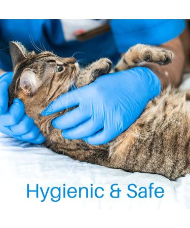 INTCO Eco Vinyl Medical Examination Gloves - Latex-Free & Powder-Free - Blue - Large - Buy Online on GoSupps.com