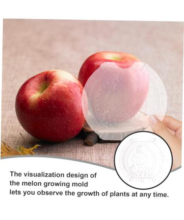 BESPORTBLE 6 Pcs Vegetable Shaping Clear Fruit Cucumber Molds for Garden Vegetable Pumpkin - Buy Online on GoSupps.com