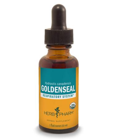 Herb Pharm Certified Organic Goldenseal Liquid Extract for Respiratory System Support, Organic Cane Alcohol, 1 Ounce 1 Fl Oz (Pack of 1) Organic Cane Alcohol