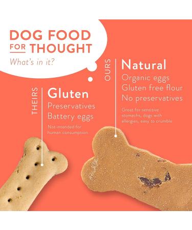 Portland Pet Food Co. Handcrafted All-Natural Grain-Free Dog Biscuits - USA Sourced, Gluten-Free, Human-Grade Pumpkin Treats (5 oz) - Buy Online on GoSupps.com