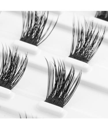Eyelash Evolution DIY Extension Korean PBT Fiber 3D Effect Mixing Length - Reusable 20 Lash Clusters for Volume Look - 12mm 14mm 16mm - Multi-pack 20pcs - Buy Online on GoSupps.com
