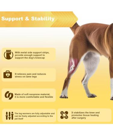 Dog Knee Brace - with 10 Support Sticks Dog Back Leg Brace - Comfortable Hip and Leg Protector Breathable for Small Senior and Disabled Dogs - Buy Online on GoSupps.com
