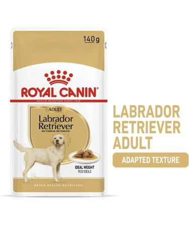 Royal Canin Labrador Retriever Adult in Gravy Wet Dog Food 140g (Pack of 10) - Buy Online on GoSupps.com