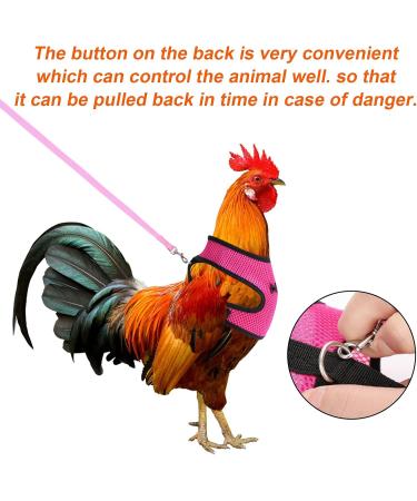 Molain Adjustable Chicken Harness with Leash - Breathable for Hens & Dogs (3-6 kg) - Size M Pink - Perfect for Safe Outdoor Adventures - Buy Online on GoSupps.com