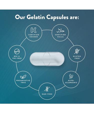 Purecaps USA Size 000 Empty White Gelatin Capsules - 1000 Separated Capsules - Fast Dissolving & Preservative Free - Buy Online on GoSupps.com