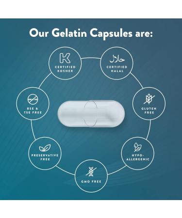 PurecapsUSA Empty Red Gelatin Pill Capsules - Size 000, 500 Count - Fast Dissolving & Preservative Free - Natural Ingredients - Pack of 1 - Buy Online on GoSupps.com