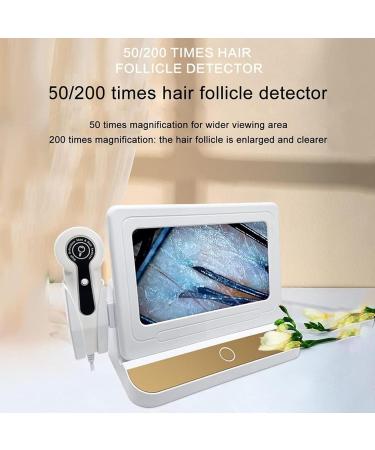 Skin Hair Scalp Detector Hair Follicle Facial Skin Oil Moisture Tester with 10 Inch 200x Lens 50x Lens Pixels 1000W ABS Resin Hair Follicle Testing and Skin Analysis Magnifier - Buy Online on GoSupps.com