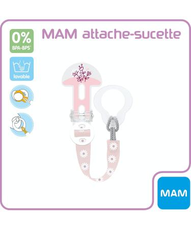 MAM Mixed Succulents - Random Color for All Ages | French Instructions | Ideal for Gifts & Home Decor - Buy Online on GoSupps.com