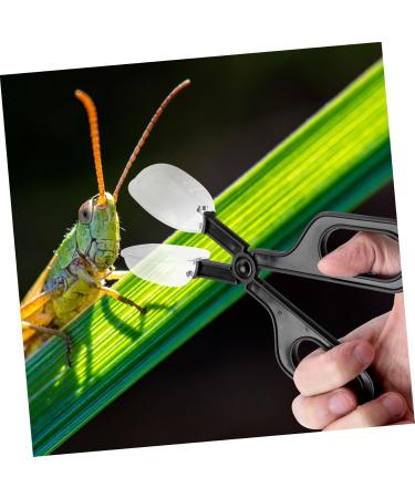 BESPORTBLE 6 Pcs Reptile Feeding Clip Chameleon Habitat Kit Cricke Capturer Gecko Cage Cleaner Reptiles Mx2pcs Blackx2pcs - Buy Online on GoSupps.com