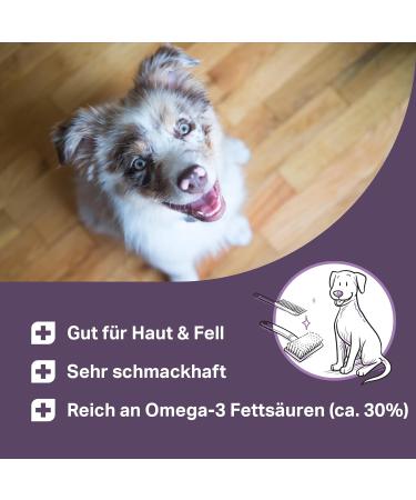 MEDIDOG Premium Salmon Oil - 1000 ml | Omega-3 Skin & Coat Care for Dogs | International Shipping Available - Buy Online on GoSupps.com