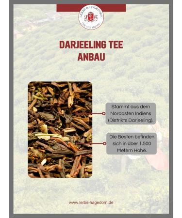  Lerbs & Hagedorn Darjeeling Second Flush FTGFOP Organic Makaibari Tea 1 kg - Buy Online on GoSupps.com