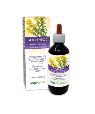 Naturalma Goldenrod (Solidago virgaurea) herb with Flowers Alcohol-Free Tincture - 6.76 fl oz Liquid Extract in Drops - Herbal Supplement - Vegan Alcohol-free 6.76 Fl Oz (Pack of 1)