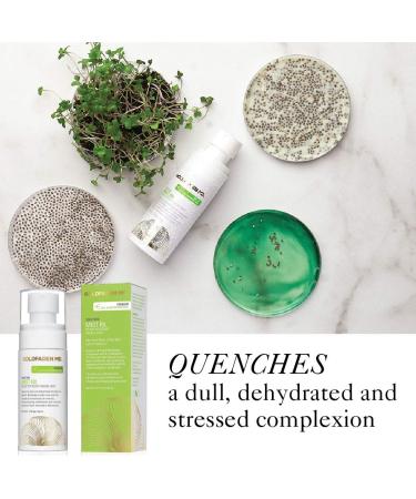 GOLDFADEN MD Mist RX | Hydrating Daily Face Mist with Aloe Vera Plant Stem Cells & Antioxidants | Nourishing Makeup Setting Spray | 2.0 fl oz / 80 mL - Buy Online on GoSupps.com