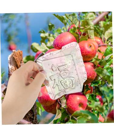 SUPVOX 8 Pcs Square Apple Square Fruit and Vegetable Growing Stereotypes Melon - Buy Online on GoSupps.com