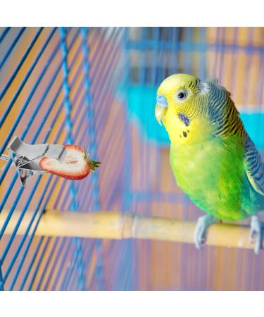 5-Piece Parrot Food Feeder Clips - Metal Vegetable Holder & Fruit Accessories for Bird Cages - Buy Online on GoSupps.com