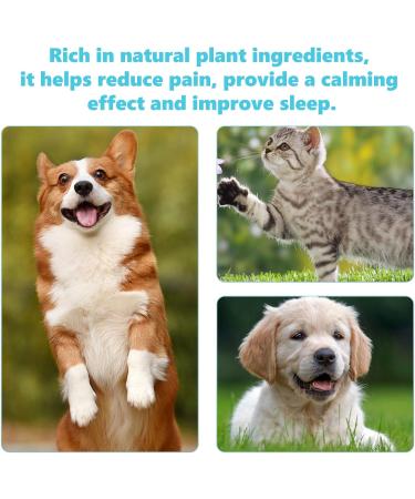 Pet Joint Drops for External Use Glucosamine for Cats & Dogs - Cat Hip and Joint Liquid Topical - Buy Online on GoSupps.com
