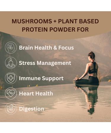 ChagaRoot Mycoprotein Mushroom Protein Powder Chocolate Flavor 20g Plant Based Protein per Serving Reishi Chaga Lions Mane Shiitake Turkey Tail Vegan Gluten Free Coffee Smoothies 1.76 lb - Buy Online on GoSupps.com