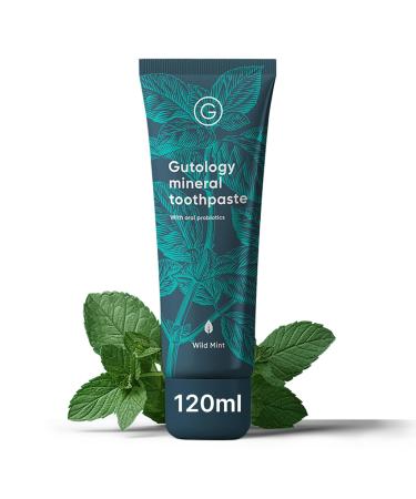 Natural Probiotic Hydroxyapatite Toothpaste Fluroide Free Toothpaste 120ml 4.2 Oz Remineralising Suitable for Adults & Children Helps Sensitive Teeth and Whitening Wild Mint Flavour
