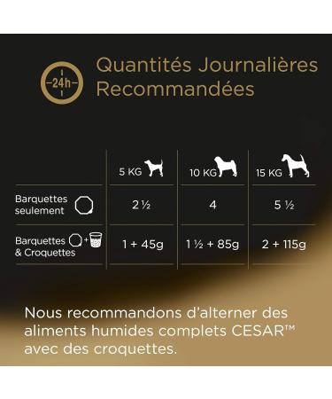 Cesar Chicken Terrine Trays for Dogs 300 g - Buy Online on GoSupps.com