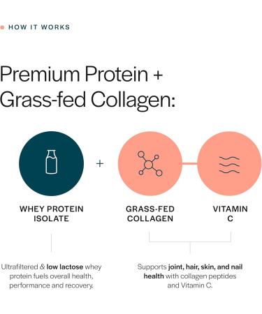 Gainful Collagen Whey Protein Powder & Sweet Treat Flavor Bundle 21g Protein Supports Muscle Recovery Joint Health & Skin Hydration with Grass-Fed Collagen Peptides 14 Servings + 14 Flavor Sticks - Buy Online on GoSupps.com