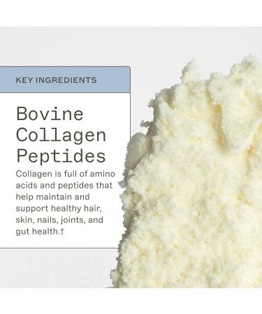 Amy Myers MD Collagen Protein Powder - Type 1 & 3 Collagen - Bovine Collagen to Support Healthy Hair, Skin & Nails - Gluten-Free, Dairy-Free & Non-Soy - 16.08 oz (38 Servings) Unflavored 1.01 Pound (Pack of 1) - Buy Online on GoSupps.com