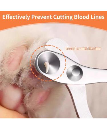 1 Pcs Pet Nail Clippers - Stainless Steel Cat Claw Clippers with Safety Guard - Professional Cat Nail Clippers for Kittens Rabbits Hamsters Birds and Other Small Animals - Non-Slip Handles - Buy Online on GoSupps.com