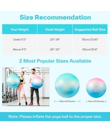 Sportneer Exercise Ball - Extra Thick Yoga Ball with Barre Ball and Quick Pump | Anti-Burst & Slip Resistant Fitness Ball for Home Gym | 65cm Green - Buy Online on GoSupps.com