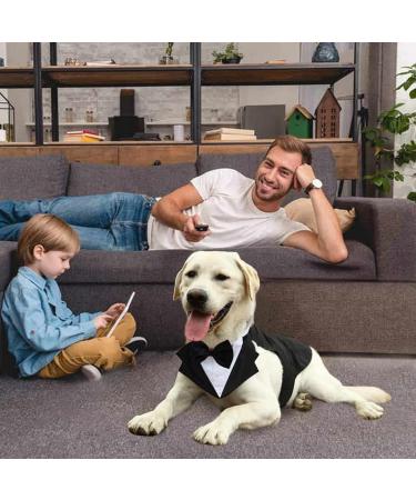 Kaket Formal Dog Tuxedo Bandana with Neck Tie Designs - Black (L) - Buy Online on GoSupps.com