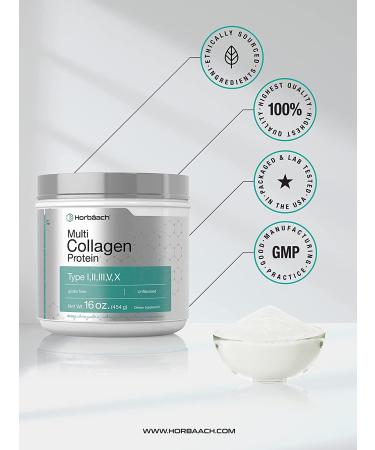 Horbaach Multi Collagen Protein Powder 16 oz | Type I, II, III, V, X | Hydrolyzed Peptides | Keto & Paleo | Unflavored & Gluten Free - Buy Online on GoSupps.com