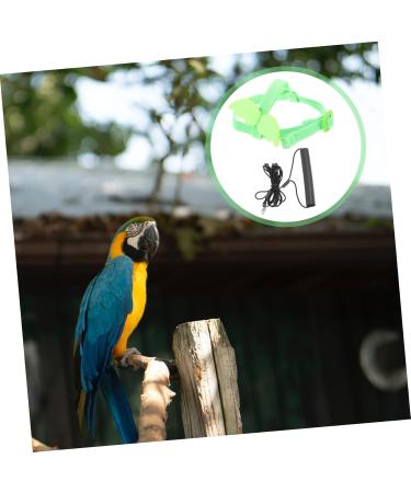 4 Sets Bird Leash Tool Trains Suspend Bird Fly Train Leash Pet Birds Leash Training Supplies Outdoor 12X6X1.3CMx4pcs Greenx4pcs - Buy Online on GoSupps.com
