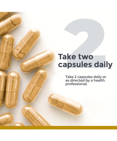 Premier Research Labs Premier Ashwagandha - Pure Supplement for Women & Men with Organic Ashwagandha Root Herbal Pills for Stress & Sleep Support Fermented for Absorption - 120 Plant-Based Capsules - Buy Online on GoSupps.com