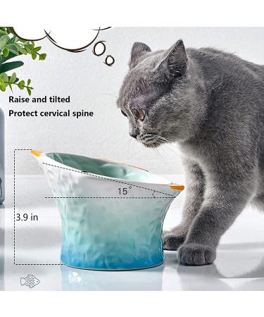 Raised Tilted Ceramic Cat Bowl - Cute Elevated Slanted Dish for Cat and Small Dog - Personalized Pet Feeder in Light Green - Buy Online on GoSupps.com